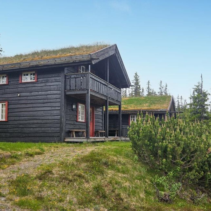 Sommerhus - 11 personer -  - Bjertnesseterveien - 3359 - Eggedal