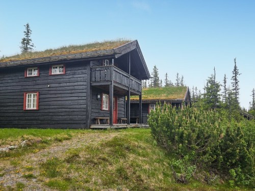 Holiday home - 11 persons -  - Bjertnesseterveien - 3359 - Eggedal
