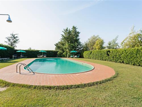 Ferienhaus - 4 Personen -  - 06069 - Tuoro Sul Trasimeno