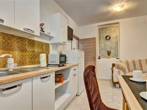 Ferielejlighed - 2 personer -  - 52212 - Valbandon