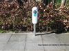 Bild 21