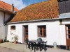 Bild 9