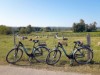 Billede 176