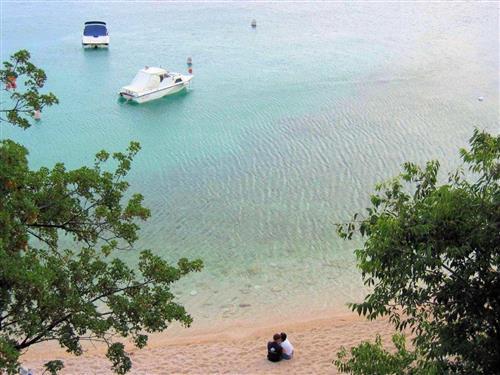 Ferieleilighet - 2 personer -  - Novi Vinodolski - 51250