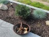 Billede 33
