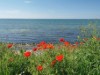 Bild 16