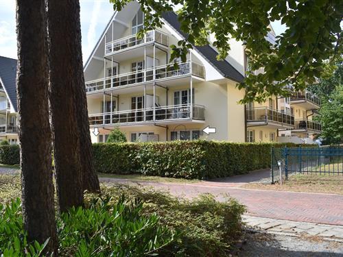 Holiday apartment - 2 persons -  - Am Kurpark - 18586 - Baabe Ostseebad