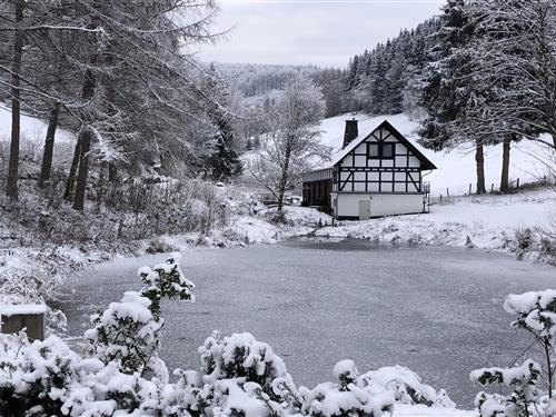 Ferienhaus - 10 Personen -  - 59955 - Winterberg-Züschen