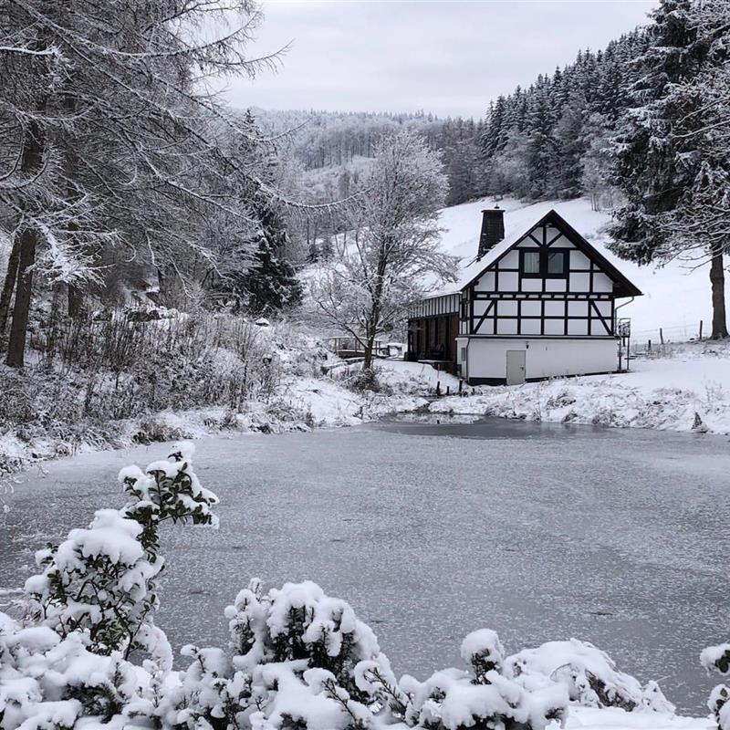 Sommerhus - 10 personer -  - 59955 - Winterberg-Züschen