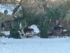 Bild 16