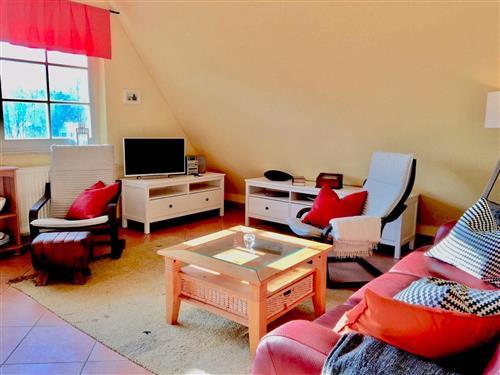 Ferielejlighed - 2 personer -  - Straminke - 18374 - Ostseebad Zingst A Darß