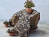 Bild 19