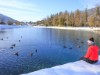 Bilde 16 - Ude