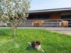 Bild 17