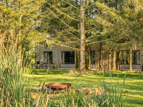 Feriehus - 2 personer -  - Markhauser - 25924 - Rodenäs