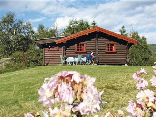 Feriehus - 4 personer -  - Gjøvdal - Åmli/Hunemo - 4865 - Åmli