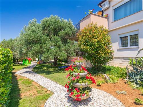 Holiday apartment - 4 persons -  - Krk/Punat - 51521