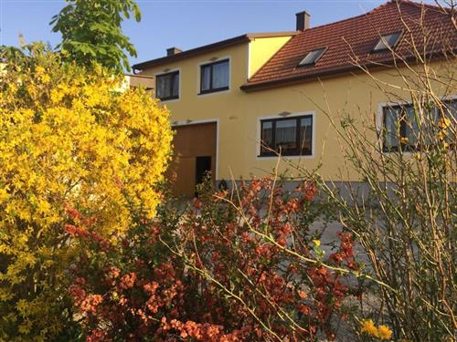 Holiday Home/Apartment - 4 persons -  - Groß Neusiedl - 3961 - Waldenstein