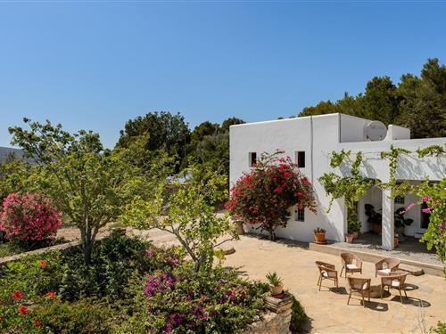 Holiday home - 11 persons -  - Poligono 5, parcela - Villa Can Felix, Sant Antoni De Portmany - 07820 - Sant Antoni De Portman