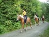Billede 24