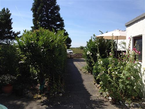 Ferielejlighed - 3 personer -  - Fehmarnsund - 23769 - Fehmarn Ot Fehmarnsund