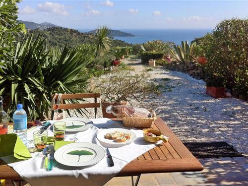 Sommerhus - 2 personer -  - 83980 - Le Lavandou