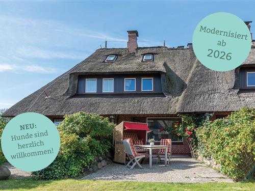 Ferieleilighet - 4 personer -  - M.T. Bucholzstich - 25996 - Wenningstedt-Braderup (Sy