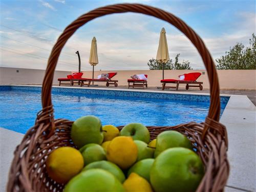 Sommerhus - 8 personer -  - Nin - 23232