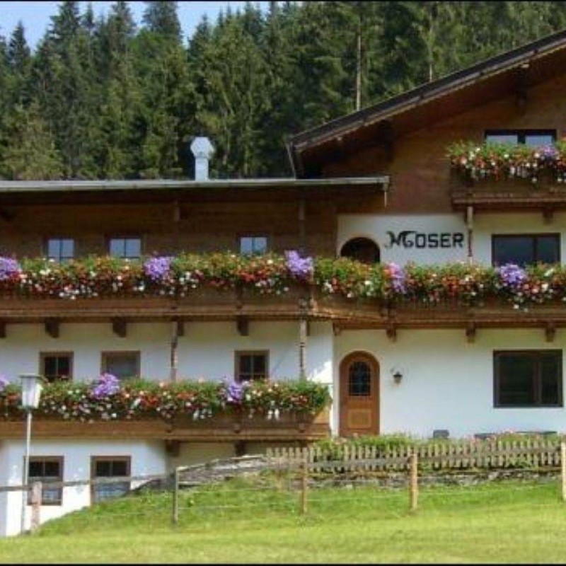 Ferielejlighed - 6 personer -  - Innerkelchsau - 6361 - Kelchsau