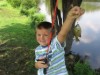 Bild 25