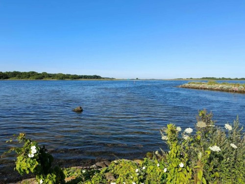 Sommerhus - 5 personer -  - Krusesvej - Hasmark - 5450 - Otterup