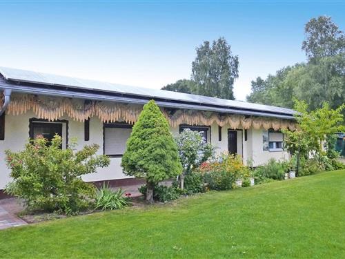 Bungalow - 4 personer -  - 15907 - Lübben