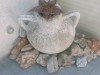 Image 34