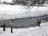 Bild 18