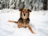 Bild 13