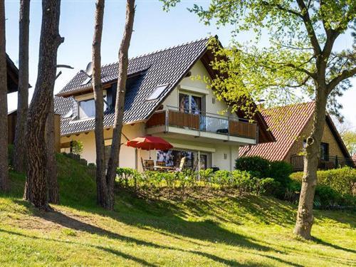 Ferielejlighed - 3 personer -  - Müritzblick - Röbel / Müritz - 17207 - Röbel
