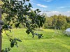 Bild 18