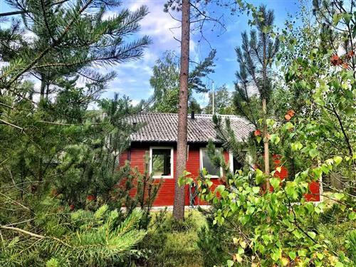 Ferienhaus - 5 Personen -  - Vidjeparken - 9560 - Hadsund