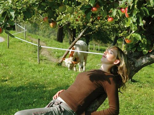 Ferielejlighed - 4 personer -  - St. Michael-Urltal - 3352 - St. Peter In Der Au