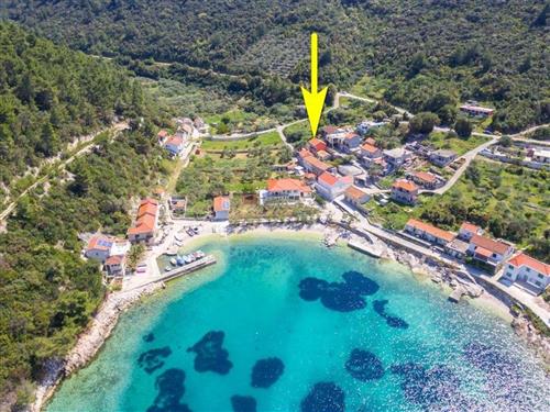 Fritidshus - 7 personer -  - Babina b.b. - 20273 - Cara