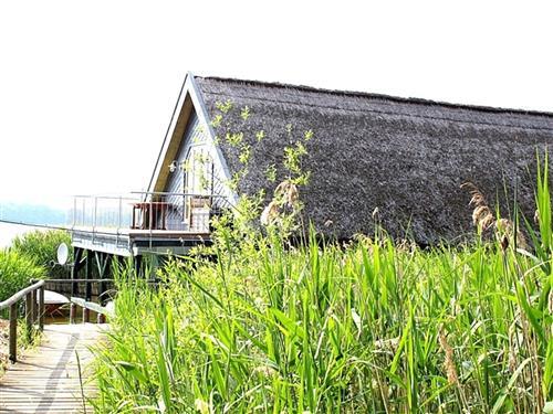 Ferielejlighed - 2 personer -  - Kleiner Strand - 17139 - Basedow