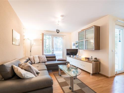 Holiday apartment - 2 persons -  - Am Waldwinkel - 18556 - Juliusruh