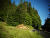 Bild 12 - Aussen