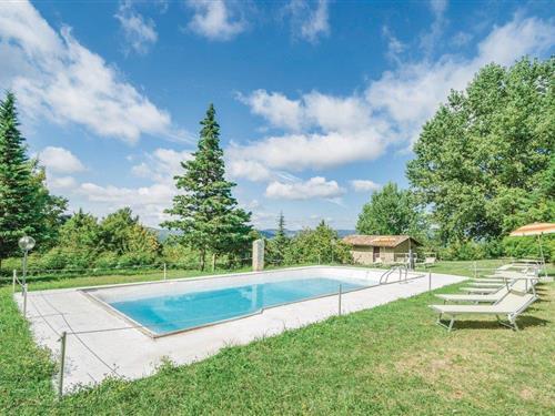 Sommerhus - 11 personer -  - Loc. Casellina - Apecchio - 61042 - Apecchio Pu