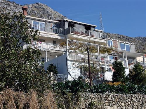 Ferielejlighed - 5 personer -  - Smokovjenac - Soline 24, Plat - 20207 - Mlini