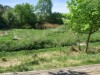 Billede 19 - Grund