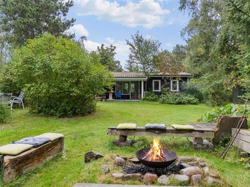 Ferienhaus - 5 Personen -  - Stærevej - Overby Lyng - 4583 - Själlands Odde