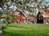 Bild 19