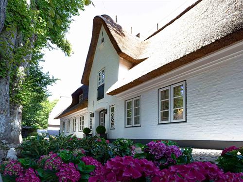 Feriehus - 6 personer -  - Kertelheinallee - 25938 - Nieblum