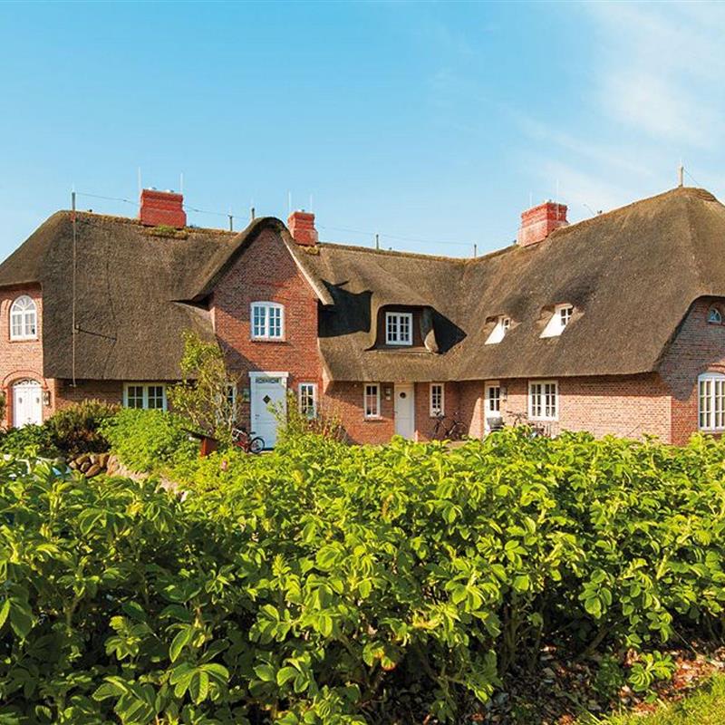 Sommerhus - 6 personer -  - Zur Uwe Düne - 25999 - Kampen Auf Sylt